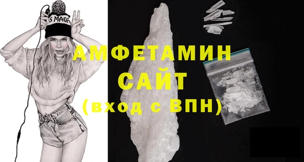 хмурый Гусь-Хрустальный