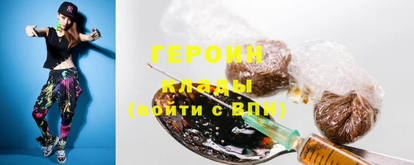 хмурый Гусь-Хрустальный