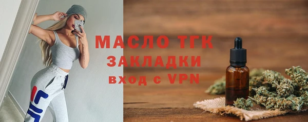 хмурый Гусь-Хрустальный