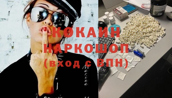 хмурый Гусь-Хрустальный