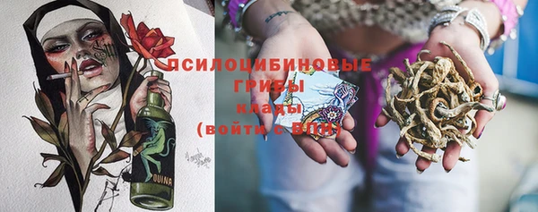 хмурый Гусь-Хрустальный