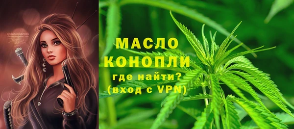 хмурый Гусь-Хрустальный