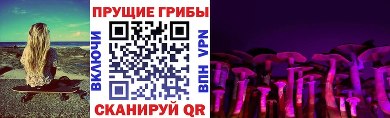 Галлюциногенные грибы GOLDEN TEACHER Жердевка